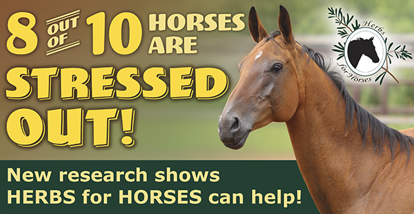 8 out of 10 Horses are Stressed Out!