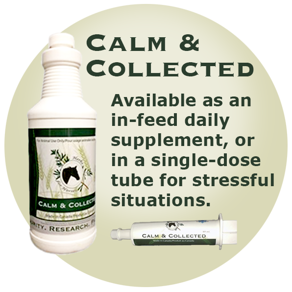 Calm and Collected Tube